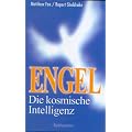 Engel, die kosmische Intelligenz