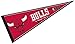 Wincraft Chicago Bulls Pennant 12