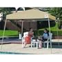 Z-Shade Company SE2S12TNDRBA Sierra II Canopy