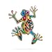 Tropical Tree Frog Pin #0711