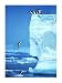 Penguins Diving Off an Iceberg Art Poster Print by Steve Bloom, 12x16