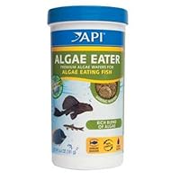 API Algae Eater Alage Wafer, 6.4-Ounce