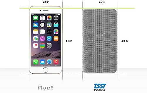 TSST TS006BA S6 Ultra-Portable and powerful Bluetooth Wireless 2-way Stereo Speaker, Gray