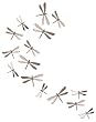 Umbra Wallflutter Wall D&eacute;cor, Set of 20