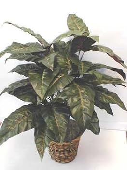 3' DOUBLE Rubber Plant silk plant