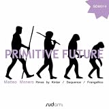 Primitive Future (Frangellico Remix)
