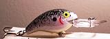 Rebel Deep Wee R Bass Fishing Crankbait Splatterback Color