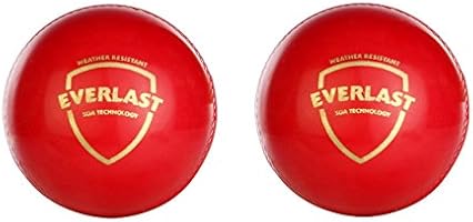 SG Everlast Cricket Ball, Pack of 2 (Red)
