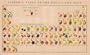 Periodic Table of Fruits and Nuts Poster Print, 30x19