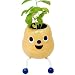Tater Pot - Slim Basil