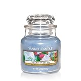 Yankee Candle Small Garden Sweet Pea Jar Candle 1152965