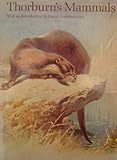 Thorburn's mammals