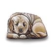 Golden Retriever Puppy Dog Pupperweight Paperweight Pupper Weight