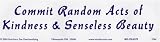 Commit Random Acts of Kindness & Senseless Beauty. -Bumper Sticker