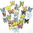 Plastic Butterflies