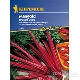 Eigenschaften Kiepenkerl  / Mangold, 'Rhubarb Chard, rot'