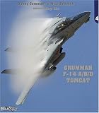 GRUMMAN F-14 A/B/D  TOMCAT (Uncovering the # 3 )