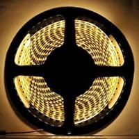 Ledcreelight 2 Years Warranty Warm White or soft white Double Density 600 LEDs Flexible Light Strip, 3528 Type SMD, 5 Meter or 16.4 Ft, 12 Volt, 48 Watt Double Density with DC connector other end will have DC jack input UL Listed Usd DC 12V transformer for dimmer ,if you need dimmable function