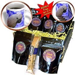 Birds - Cockatoo portrait - Coffee Gift Baskets - Coffee Gift Basket by Decaf Espresso Roast