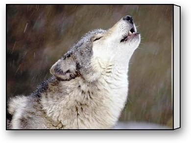 Funnyone Custom Modern Wall Art Decoration for Home Lonely Wolf Canvas Prints
