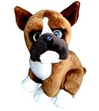Boxer 11 Image of Boxer 11