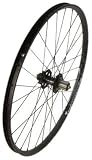WTB Laserdisc Trail Rear Bicycle Wheel (29-Inch, 32-Hole)