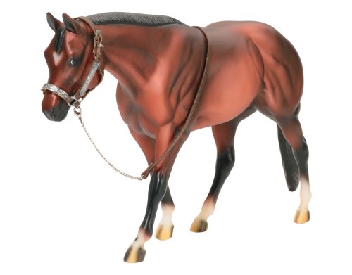Western Stock Show Halter w/ Lead 