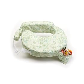 Click here to buy My Brest Friend Slipcover, Green by My Brest Friend.