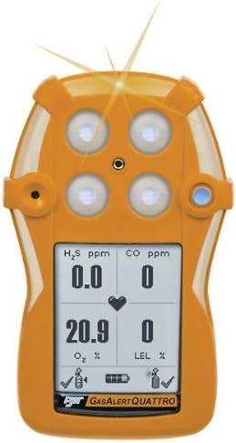 Single-Gas Detector, Alkaline, H2S