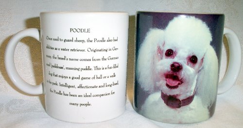 Best Cheap White Poodle Dog Photo Coffee Mug