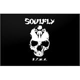 MusicSkins Soulfly - BFWH - Nintendo DSi SFLY10029