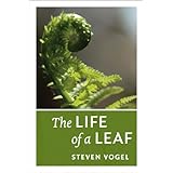 the life of a leaf