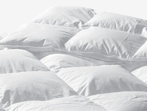 Highland Feather Manufacturing 64-Ounce Santiago Goose Feather Duvet, Queen, White