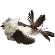 Play-N-Squeak Backyard Bird Cat Toy