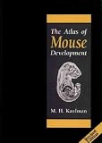 The Atlas of the Mouse Development