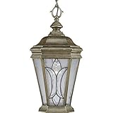 Progress Lighting P5558-86 1-Light Cranbrook Outdoor Cast Hanging Lantern, Burnished Chestnut by Pro