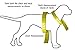 Best Dog Harness with Reflective Material Keeps Your Pet Safe While Walking and Car Rides, Instructional Guide on Product Tips, Use and FAQs Included by Roughtail Pet Supplies, Size Large, Color Black