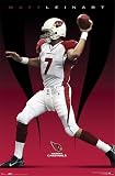 MATT LEINART ARIZONA CARDINALS 22.5x34 POSTER #4024
