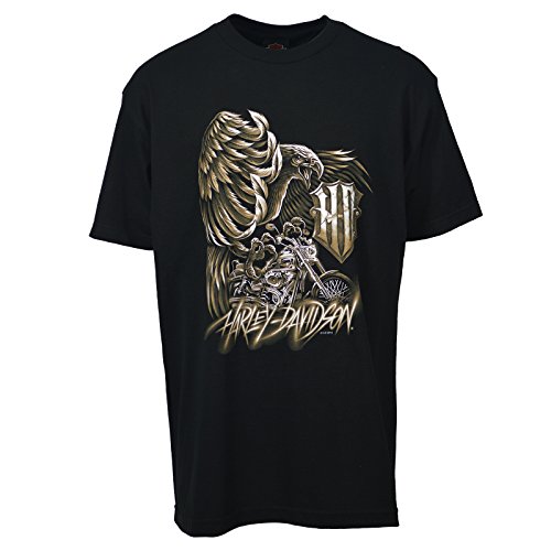 Harley-Davidson Men's T-shirt - Iron Flight | Ramstein Air Base - XL