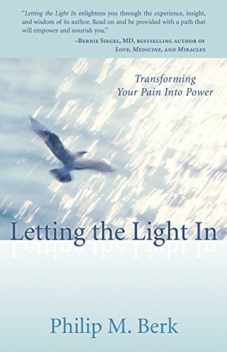 Letting the Light In: Transforming Your Pain into Power