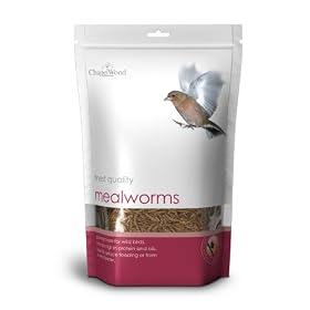 Chapelwood Mealworms 1kg