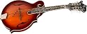 Michael Kelly Legacy Dragonfly Flame Mandolin, Walnut