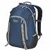 Wenzel Daypacker 25-Liter Daypack, True Blue