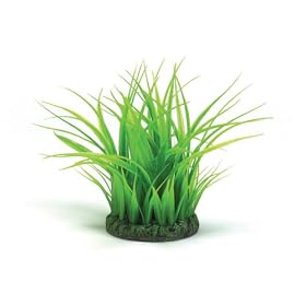 biOrb Small Grass Ring (Baby or Larger)