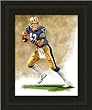 Florida Panthers Framed Dan Marino Pittsurgh Panthers Large Giclee -