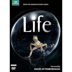 Life (narrated by David Attenborough)