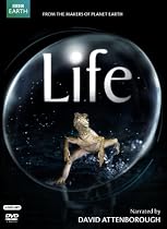 Life