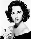ELIZABETH TAYLOR 8X10 B&W PHOTO