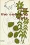 The seedling stars