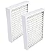 Nispira HEPA Filter Replacement Hunter Part 30928 for HEPAtech Air Purfiers, 2 Filters